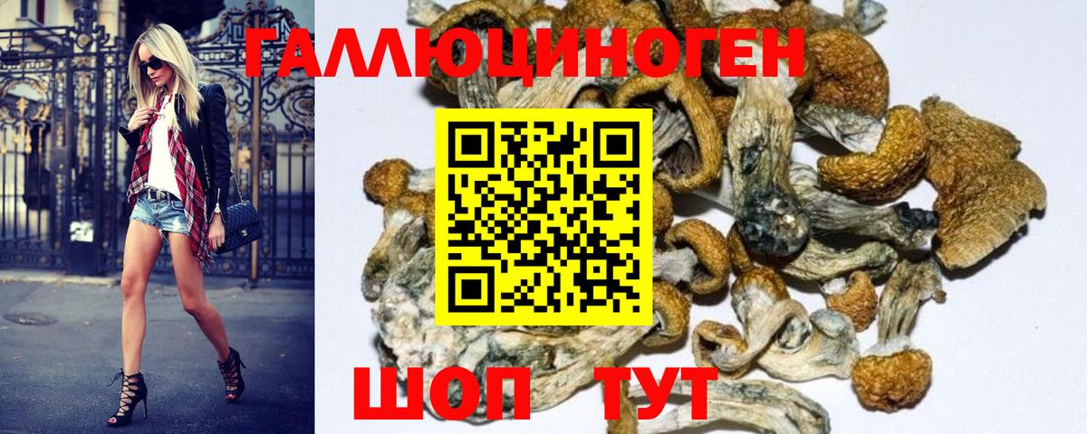 Шелехов  закладки  Галлюциногенные грибы Psilocybe  Вход с VPN  Псилоцибиновые грибы Cubensis 